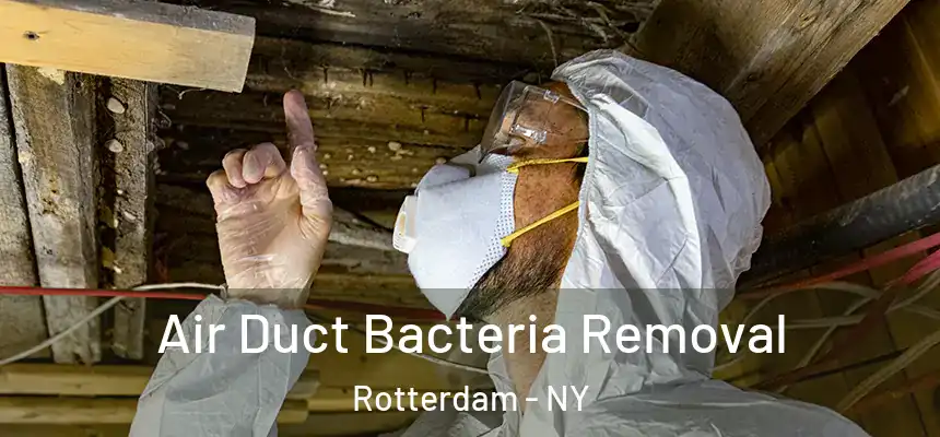  Air Duct Bacteria Removal Rotterdam - NY