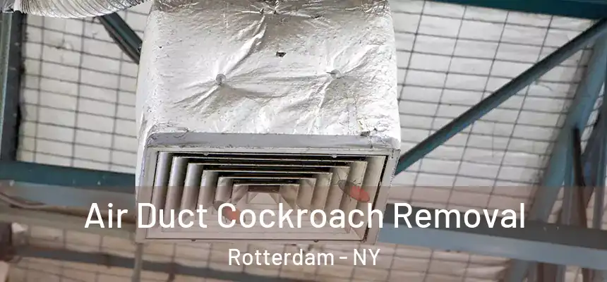 Air Duct Cockroach Removal Rotterdam - NY