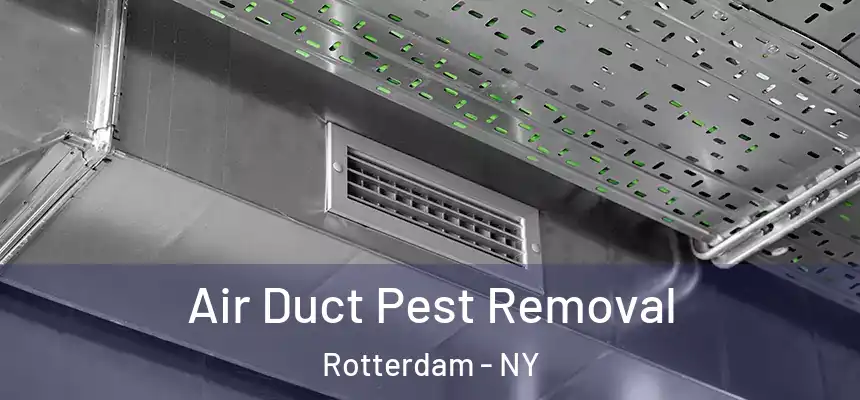 Air Duct Pest Removal Rotterdam - NY