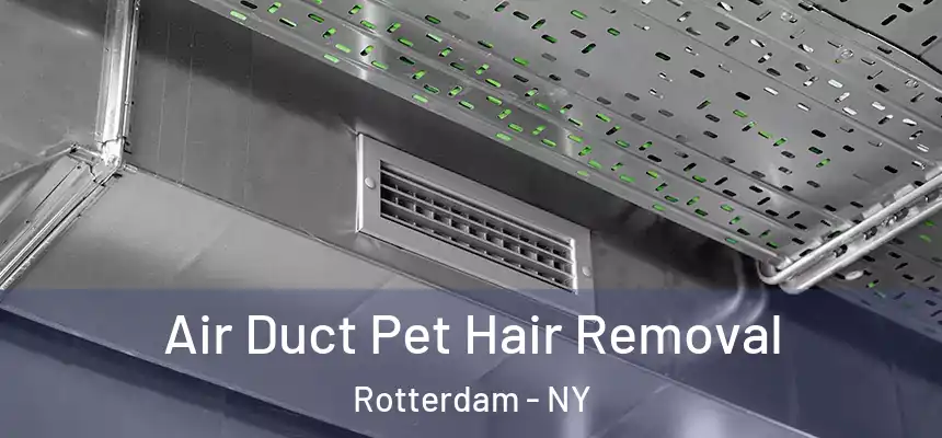 Air Duct Pet Hair Removal Rotterdam - NY