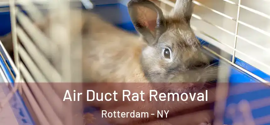 Air Duct Rat Removal Rotterdam - NY