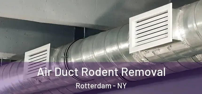 Air Duct Rodent Removal Rotterdam - NY
