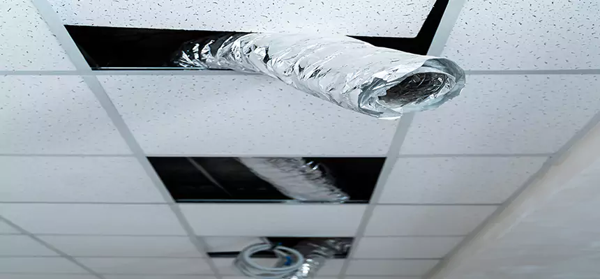 Our Air Duct Pet Hair Removal Services in Rotterdam, NY