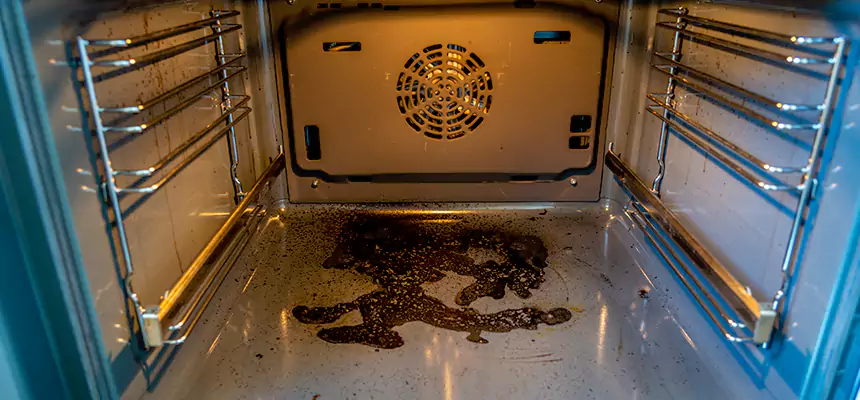 Our Dryer Vent Mold Cleaning Services in Rotterdam, NY