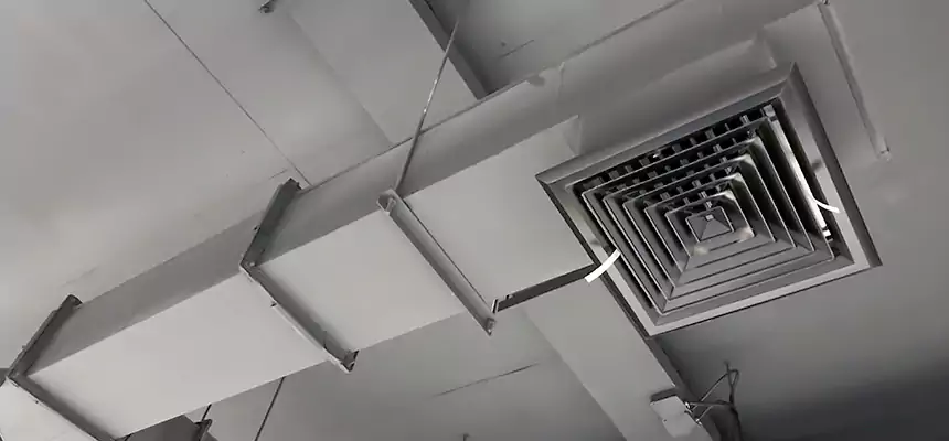 Our Rodent Droppings In Vents Services in Rotterdam, NY