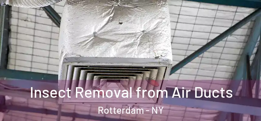 Insect Removal from Air Ducts Rotterdam - NY