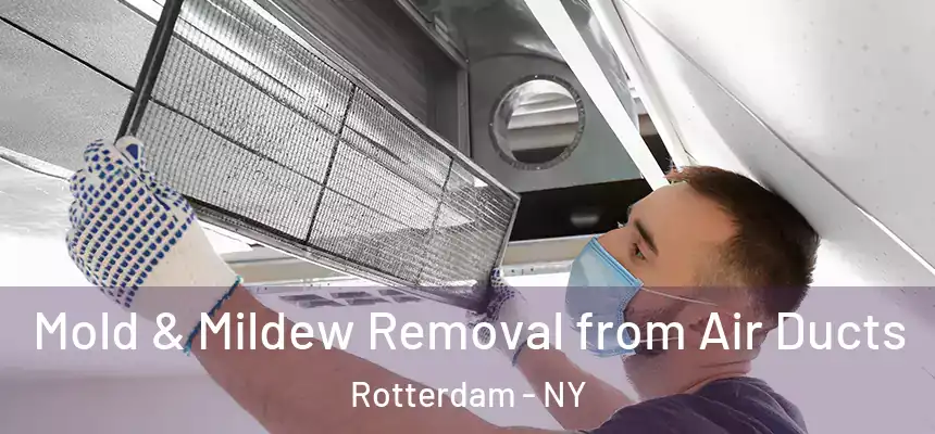 Mold & Mildew Removal from Air Ducts Rotterdam - NY