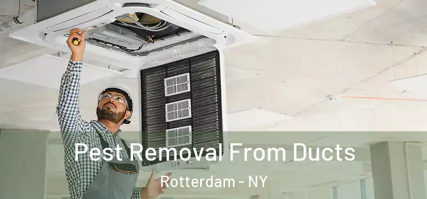 Pest Removal From Ducts Rotterdam - NY