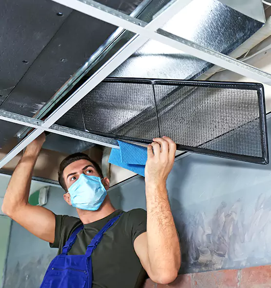 About Air Duct Bacteria Removal in Rotterdam