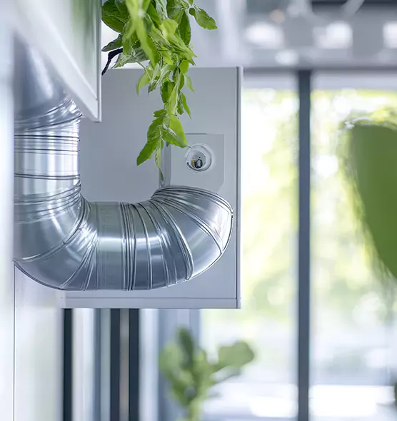 Professional Eco-Safe Dryer Vent Cleaning in Rotterdam, NY