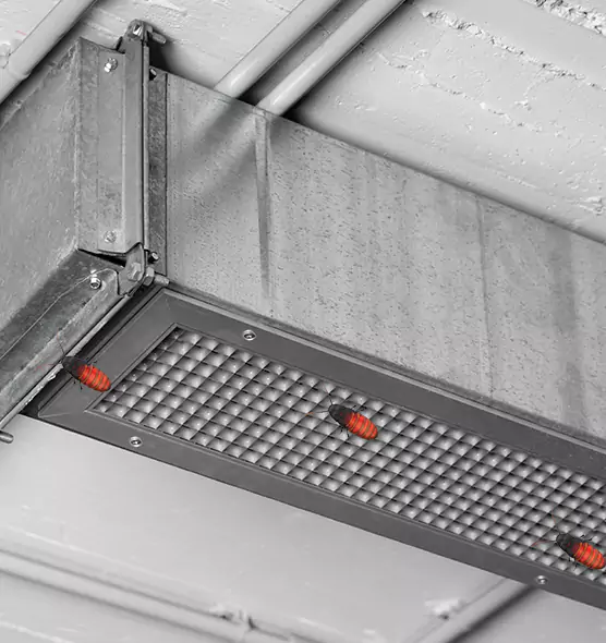 Affordable Insect Removal from Air Ducts in Rotterdam, NY